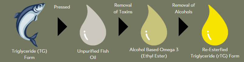 The process of extracting rTG form Omega-3 from fish oil